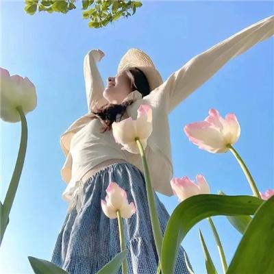 汉娜·盖茨比:道格拉斯 海报
